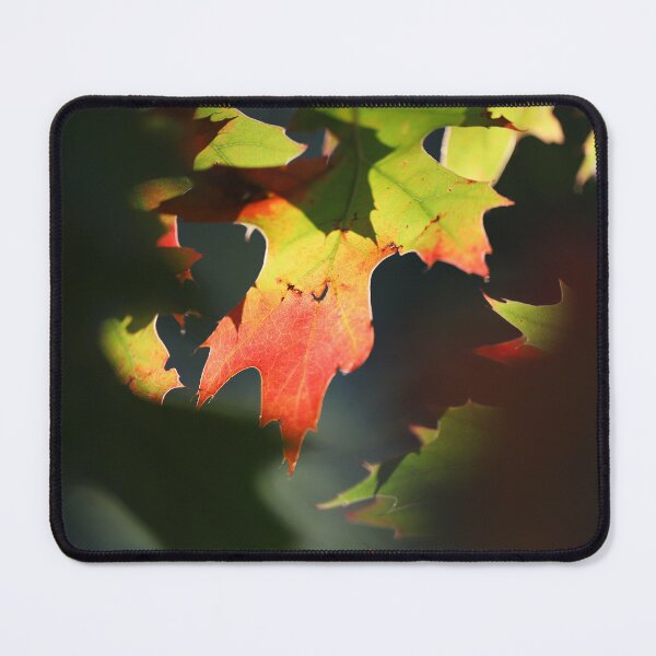 Item preview, Fall Oak Leaves designed and sold by PhotosByHung.