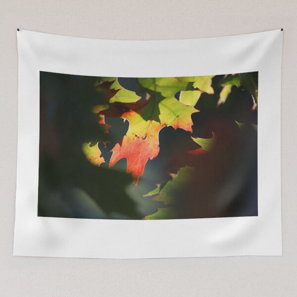 Item preview, Fall Oak Leaves designed and sold by PhotosByHung.
