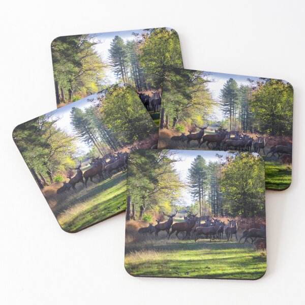 Item preview, Deer Herd in Autumn at the New Forest designed and sold by PhotoPrincess.