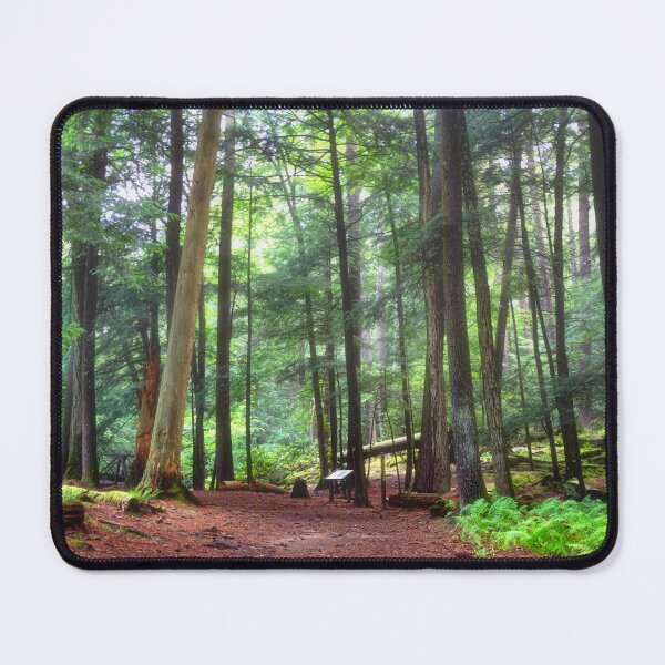 Item preview, Hiking in Cooks Forest State Park - PA designed and sold by Kathy Weaver.