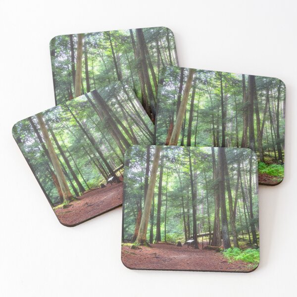 Item preview, Hiking in Cooks Forest State Park - PA designed and sold by Kathy Weaver.