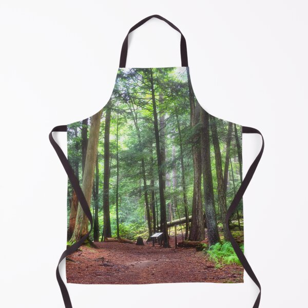 Item preview, Hiking in Cooks Forest State Park - PA designed and sold by Kathy Weaver.