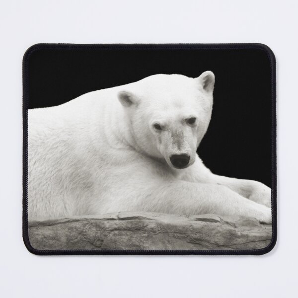 Item preview, Polar Bear designed and sold by Kenziewenze.