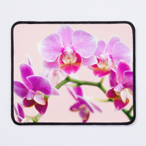 Item preview, Orchid designed and sold by Kenziewenze.