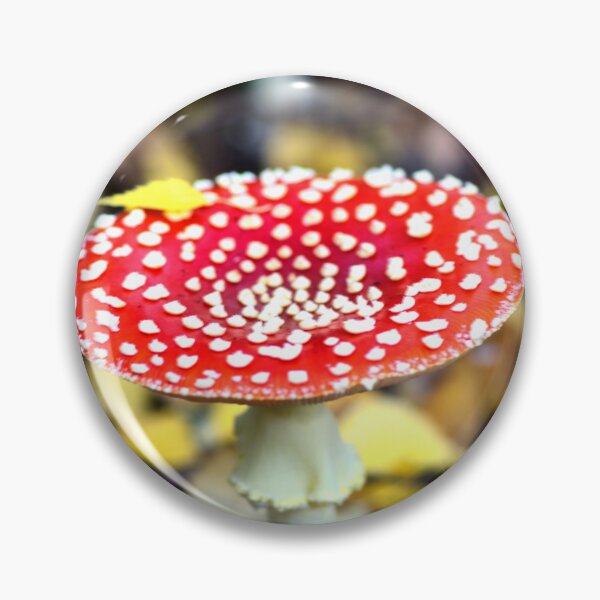 Artikelvorschau, Zauberhafter Fliegenpilz „Toadstool“ entworfen und verkauft von PhotoPrincess.