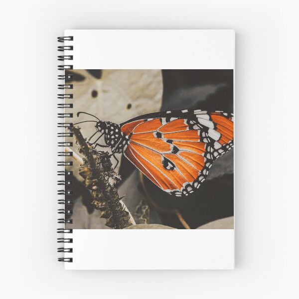 Artikelvorschau, Schmetterling entworfen und verkauft von Manan9321.