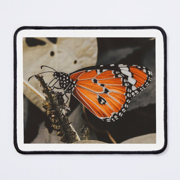 Item preview, Butterfly designed and sold by Manan9321.