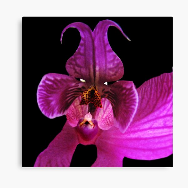 Shep- Orchid Alien Discovery Canvas Print