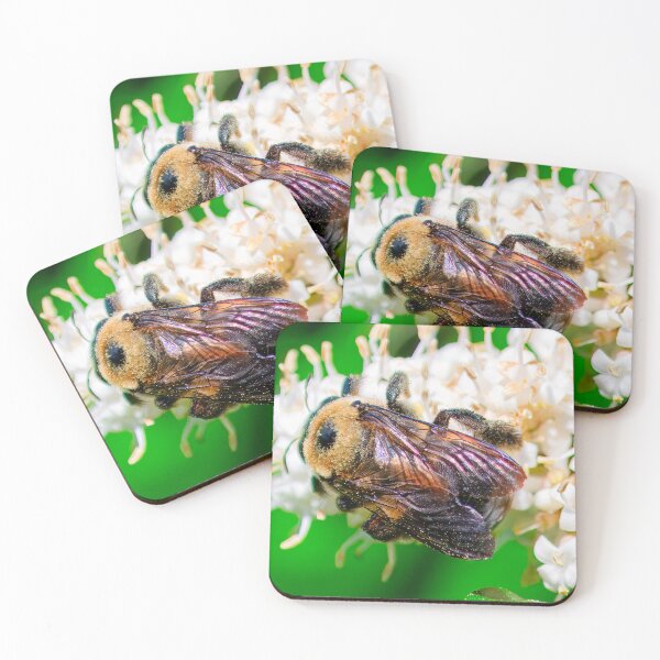 Item preview, Bumbling through the Flowers designed and sold by NocturneBand.