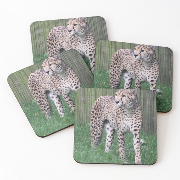 Item preview, Cheetah designed and sold by AnthonyThomas.