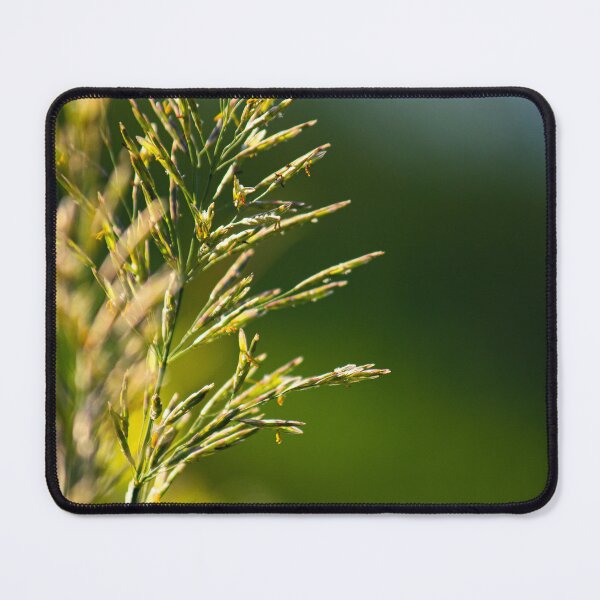 Item preview, Grass in sunlight  designed and sold by Manan9321.