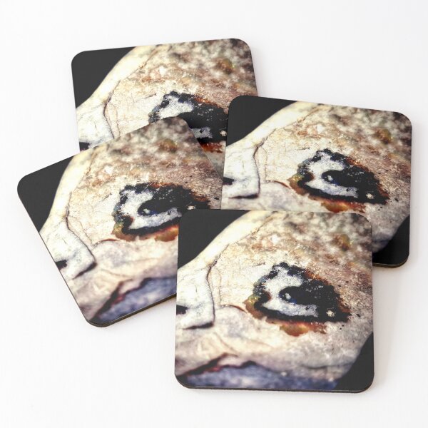 Item preview, IMAGE PRINT ONLY Abalone Art Hidden Art in Nature Peeping Through The Gap designed and sold by Beachy.