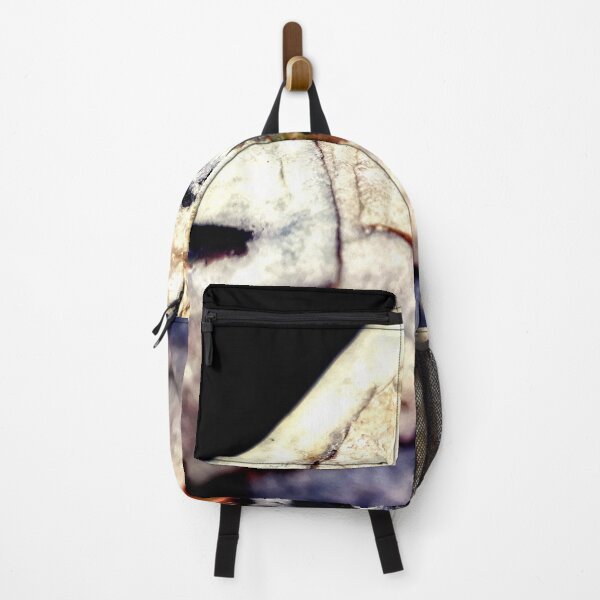 Item preview, IMAGE PRINT ONLY Abalone Art Hidden Art in Nature Peeping Through The Gap designed and sold by Beachy.