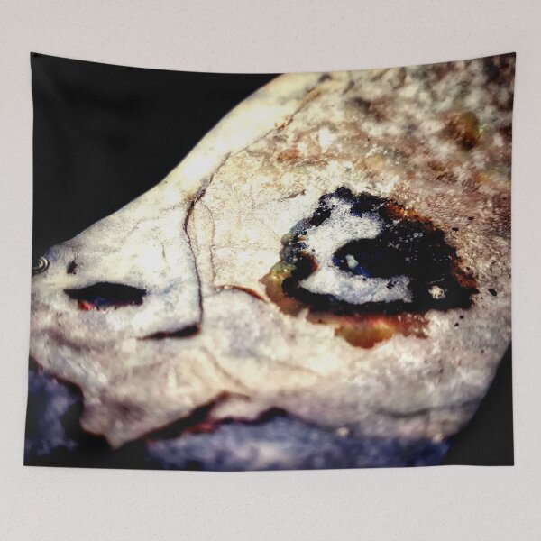 Item preview, IMAGE PRINT ONLY Abalone Art Hidden Art in Nature Peeping Through The Gap designed and sold by Beachy.