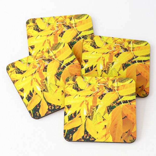 Item preview, Glorious Golden Yellow Ash Leaves Photo designed and sold by FloresInColor1.