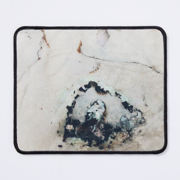 Item preview, IMAGE PRINT ONLY Abalone Art Hidden Art in Nature In The Castle Window designed and sold by Beachy.