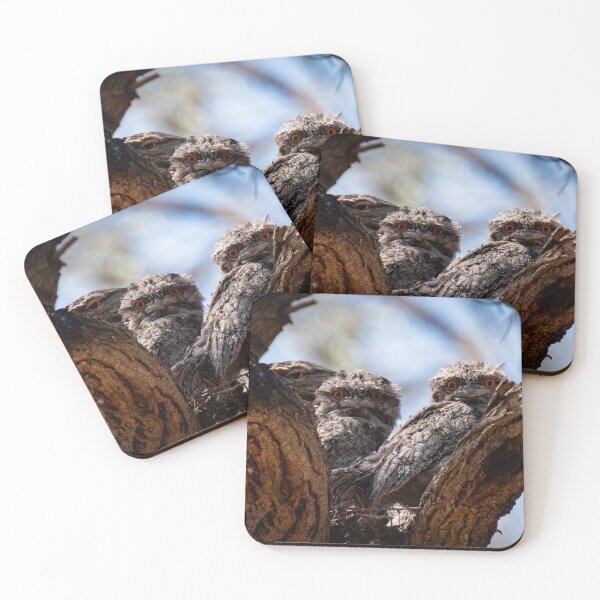 Item preview, frogmouths in the tree  designed and sold by william672.