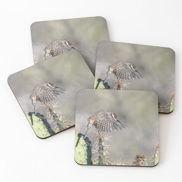 Item preview, Prickly Landing designed and sold by Tom Talbott.