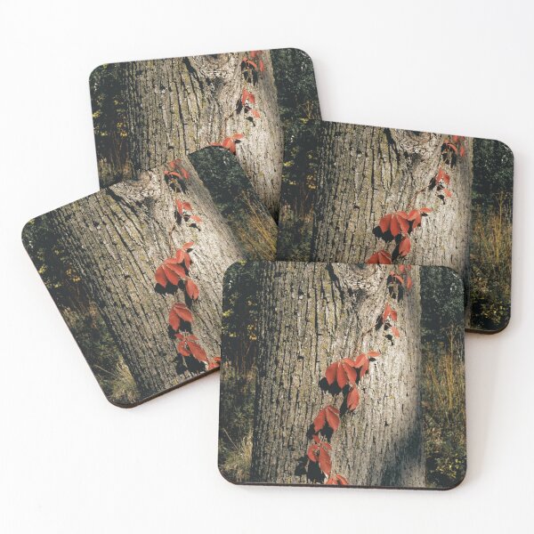Item preview, Rustic Leaves on Vine on Old Tree  designed and sold by CountyKent.