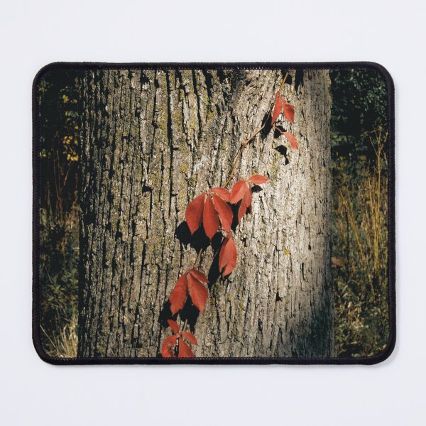 Item preview, Rustic Leaves on Vine on Old Tree designed and sold by CountyKent.
