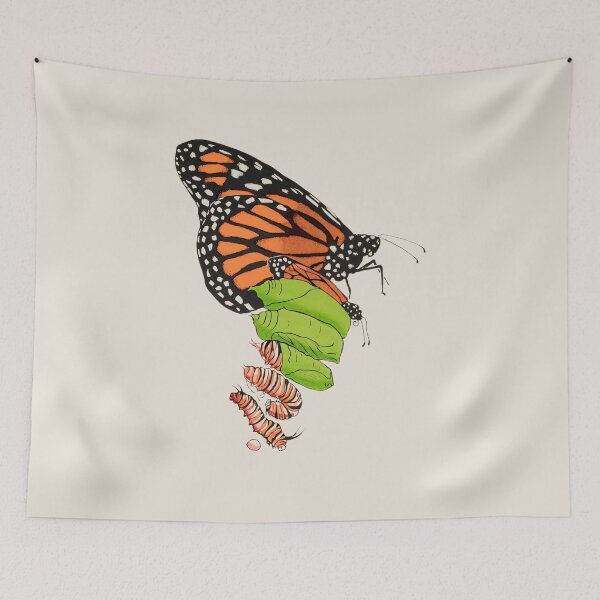 Item preview, Change Butterly Life Cycle  designed and sold by bookishneighbor.