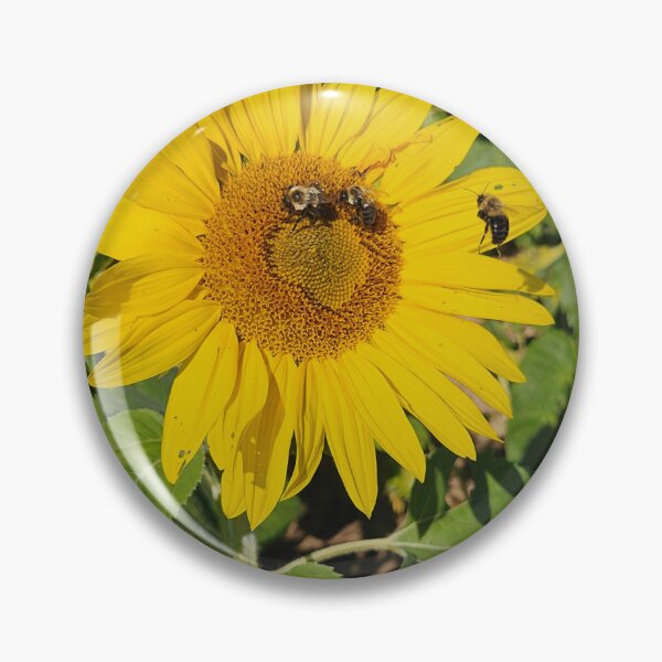 Item preview, bees pollinating the sunflower designed and sold by Raineylanes.