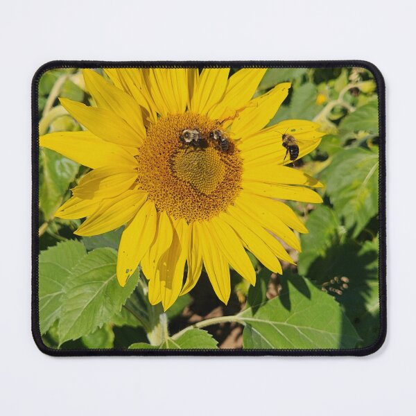 Item preview, bees pollinating the sunflower designed and sold by Raineylanes.