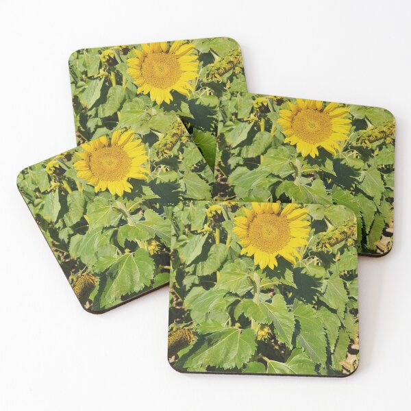 Item preview, sunflower patch at the farm designed and sold by Raineylanes.