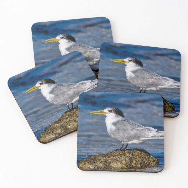 Item preview, Great Crested Tern designed and sold by Jan Fijolek.