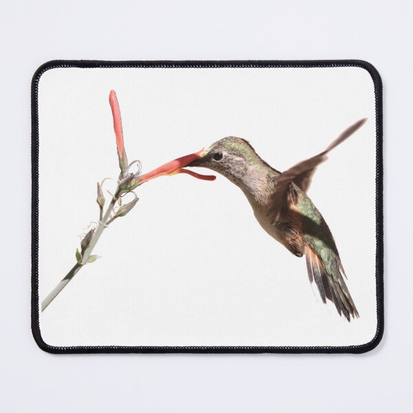 Item preview, Hummingbird At the Bearded Penstemon designed and sold by hendrickssdh.