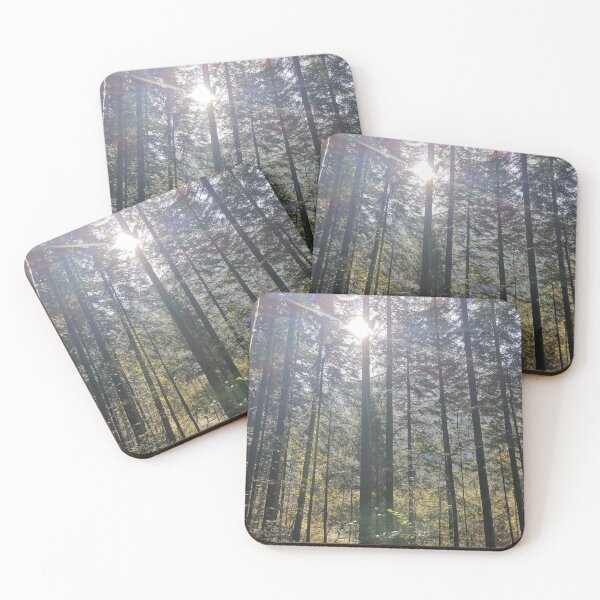 Item preview, Beautiful forest in the sun designed and sold by mindofmyown.