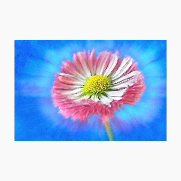 Artikelvorschau, Impasto impacto entworfen und verkauft von Creative by Design.