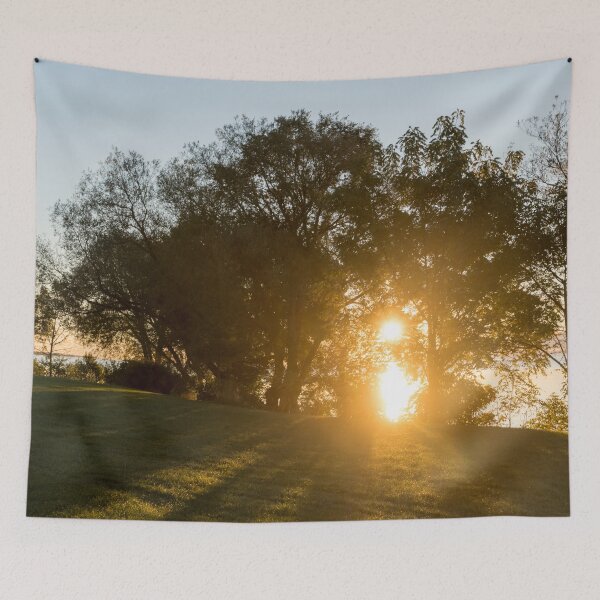 Item preview, Brilliant Lakeside Sunrise Framed by Trees designed and sold by Georgia Mizuleva.