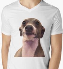 KERMIT Men's V-Neck T-Shirt