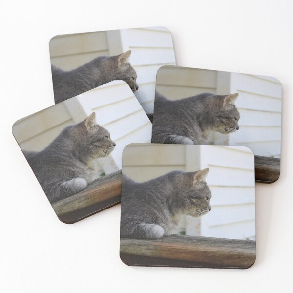 Item preview, Grey cat  designed and sold by McFleur's Lens.