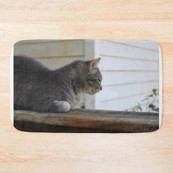 Item preview, Grey cat  designed and sold by McFleur's Lens.