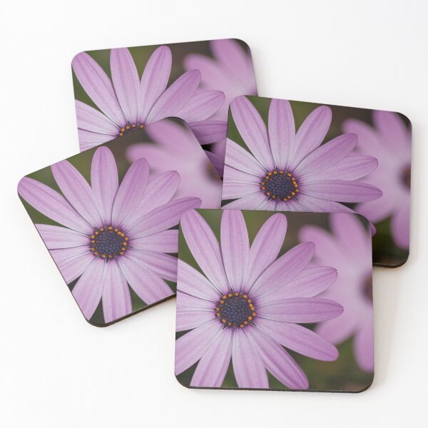 Item preview, purple daises designed and sold by Infraredphoto.