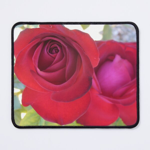 Item preview, Pretty Red Roses designed and sold by KaSaPo.