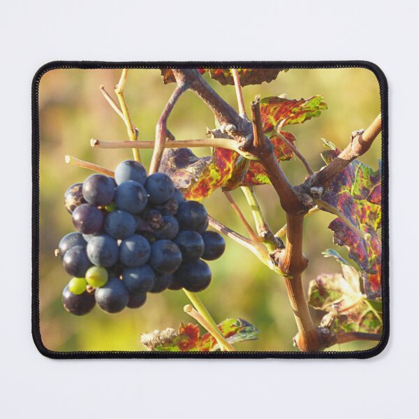 Item preview, Missed. designed and sold by Paul Pasco.