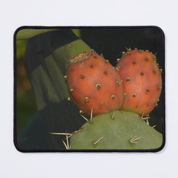 Item preview, Prickly pear pair. designed and sold by Paul Pasco.