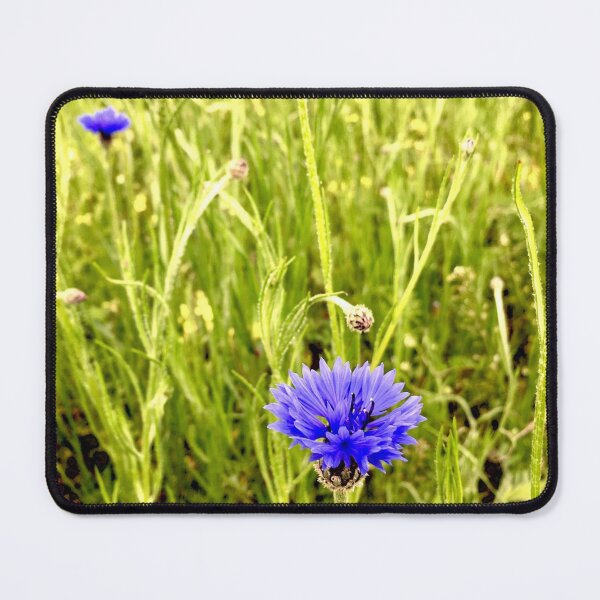 Item preview, Blue Cornflower on a Field designed and sold by KaSaPo.