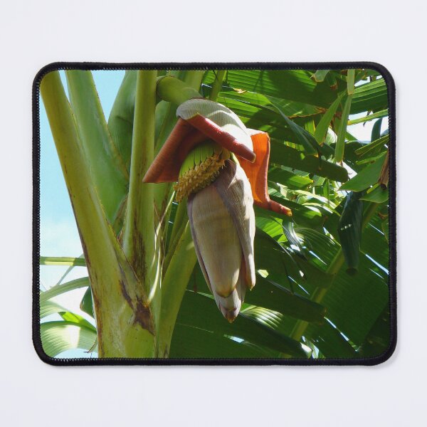 Item preview, Banana Tree Flower designed and sold by KaSaPo.