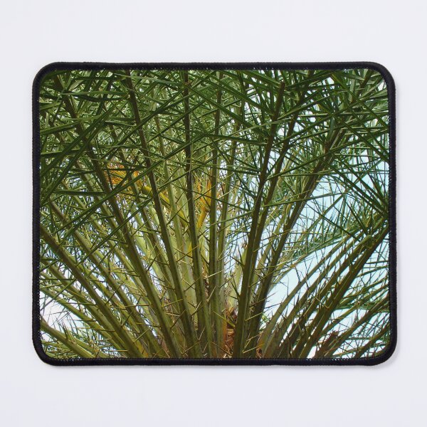 Item preview, Aitutaki Palm Fronds designed and sold by KaSaPo.