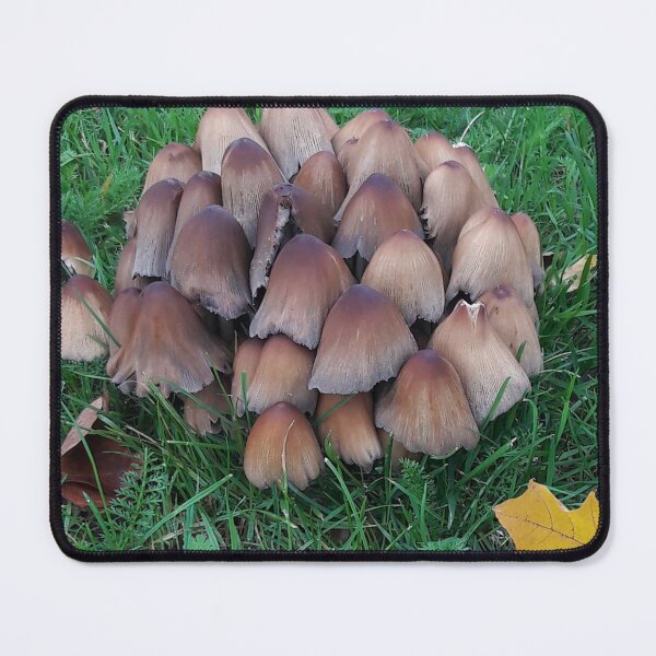 Item preview, Inky-cap Mushrooms designed and sold by Robert Elfferich.