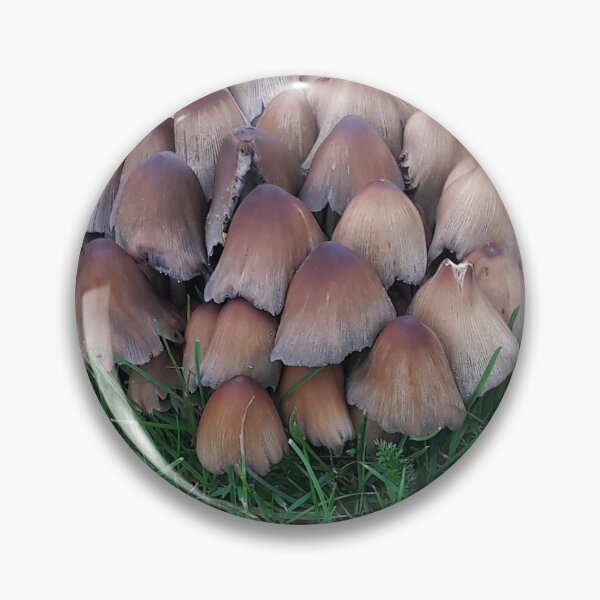 Item preview, Inky-cap Mushrooms designed and sold by Robert Elfferich.