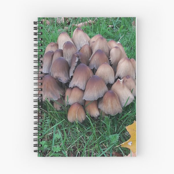 Item preview, Inky-cap Mushrooms designed and sold by Robert Elfferich.