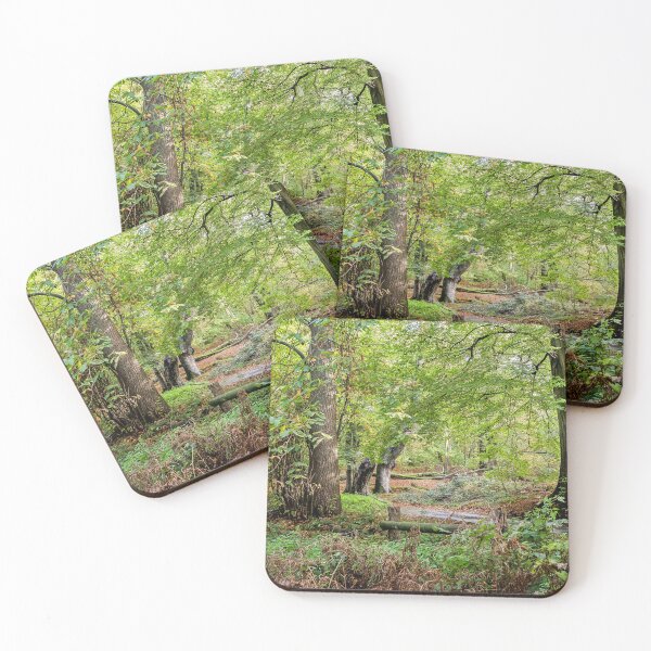 Item preview, Lions Mouth a Tranquil Norfolk Woodland Landscape designed and sold by Jim Key.