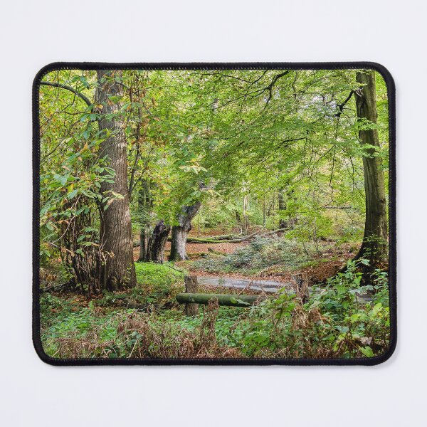 Item preview, Lions Mouth a Tranquil Norfolk Woodland Landscape designed and sold by Jim Key.