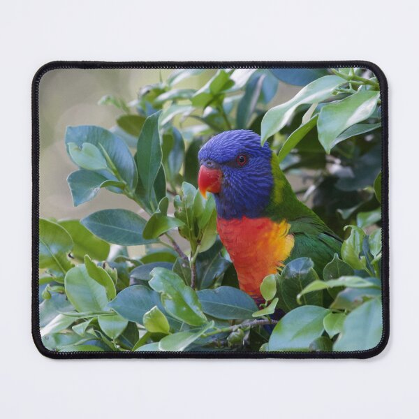 Item preview, Rainbow Lorikeet  designed and sold by MargsNaturePix.