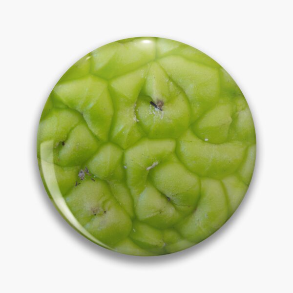 Item preview, An Osage Orange  designed and sold by Bill Spengler's Photographic Thoughts.